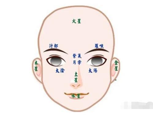 梅花易数排盘解卦_六爻在线排盘解卦软件_大六壬免费排盘解卦安卓版