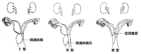 空亡屋有声_空亡屋在线_大六壬寄宫空亡