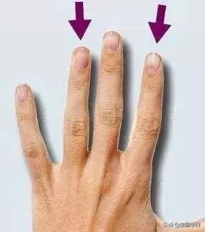 手指算命是怎么样的（五指长短看你事业发展运势）
