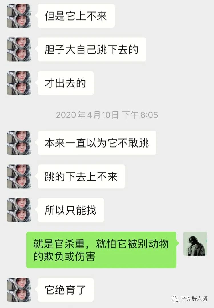 占卜二字的原始意义，你知道吗?(图)