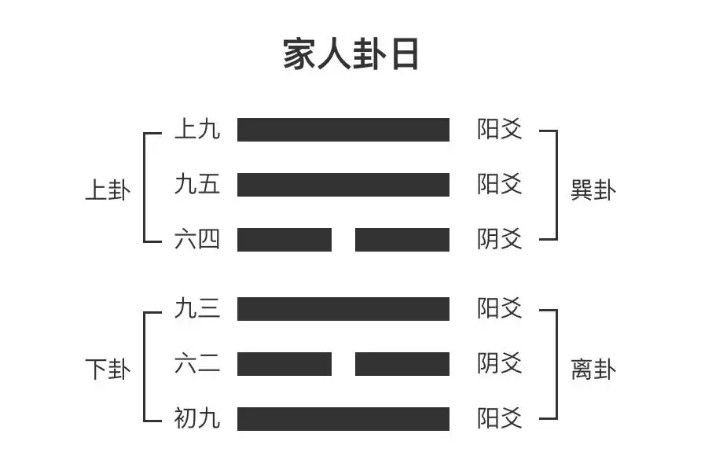 我和“预测术”的奇妙渊源，你知道吗？