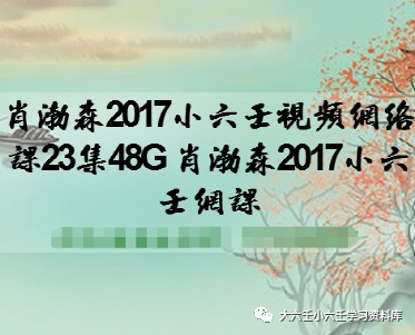 渤肖渤森2017小六壬视频网络课23集48G