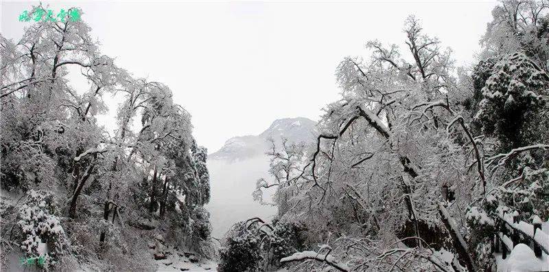 （蒙古记忆）天堂寨景区旅游线路介绍