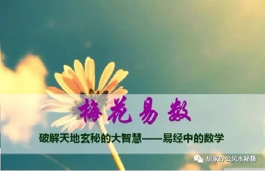 《梅花易数》中的梅花心易神数之由来