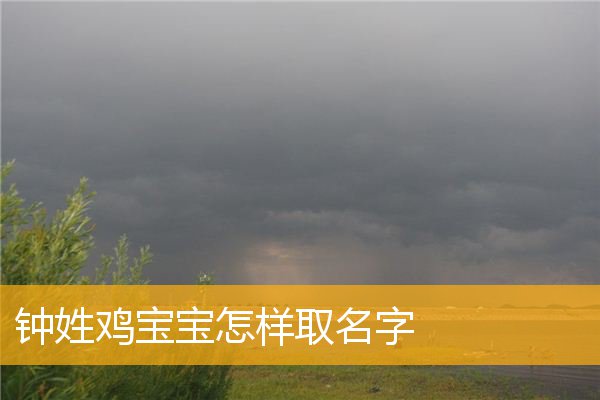 鸡年男孩子该如何起名诗词、典故、起名方法