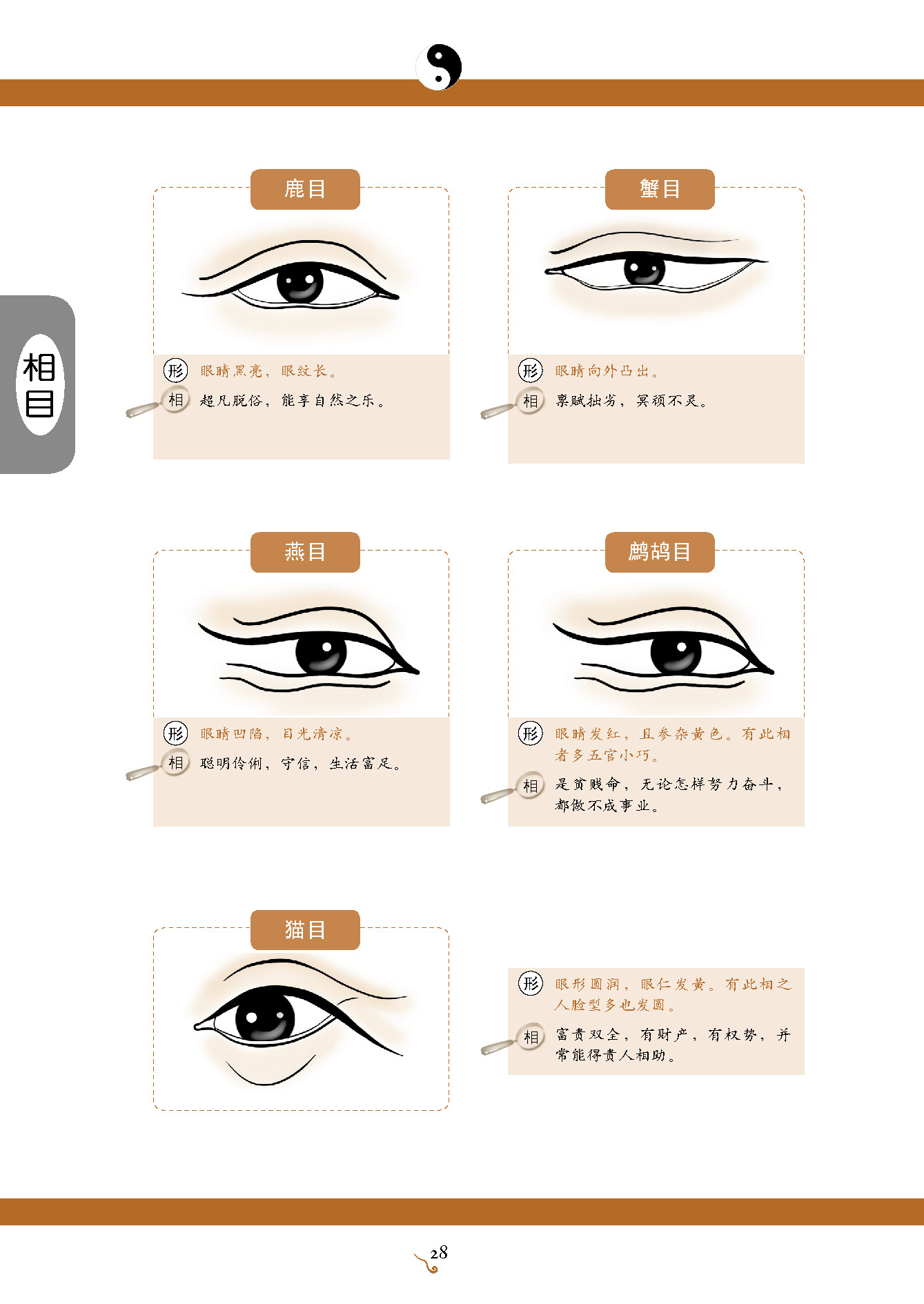 女生面相颧骨高眼窝深 陶虹47岁了，40岁还大7岁，越来越酸了