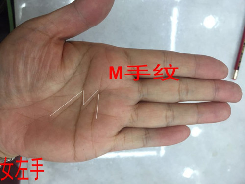 （李向东）手相m纹代表什么意思？你知道吗？