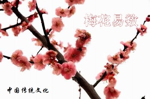 梅花易数中数字起卦的方法与步骤及其相关知识