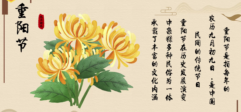 重阳节的习俗：茱萸雅号“辟邪翁”，菊花又名“延寿客”