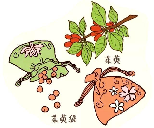 重阳节的习俗：茱萸雅号“辟邪翁”，菊花又名“延寿客”