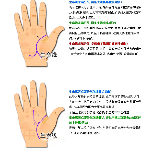 生命线的长度，决定了你的寿命！太准了！