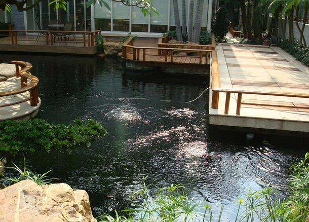 慈世堂：别墅庭院鱼池如何设计以及风水布局位置