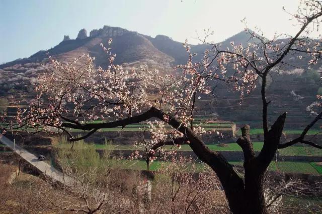 青岛众多景点自驾最美村落，吃喝玩乐后美美的睡