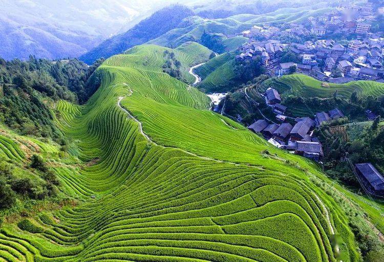 龙脊梯田——地球上最美丽的曲线，有着极致的之美