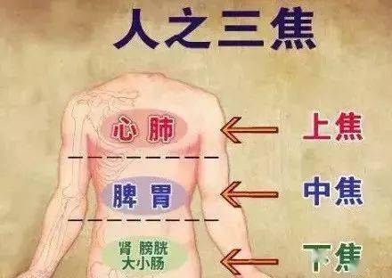 医技学院张文：《黄帝内经》的养生成就和地位